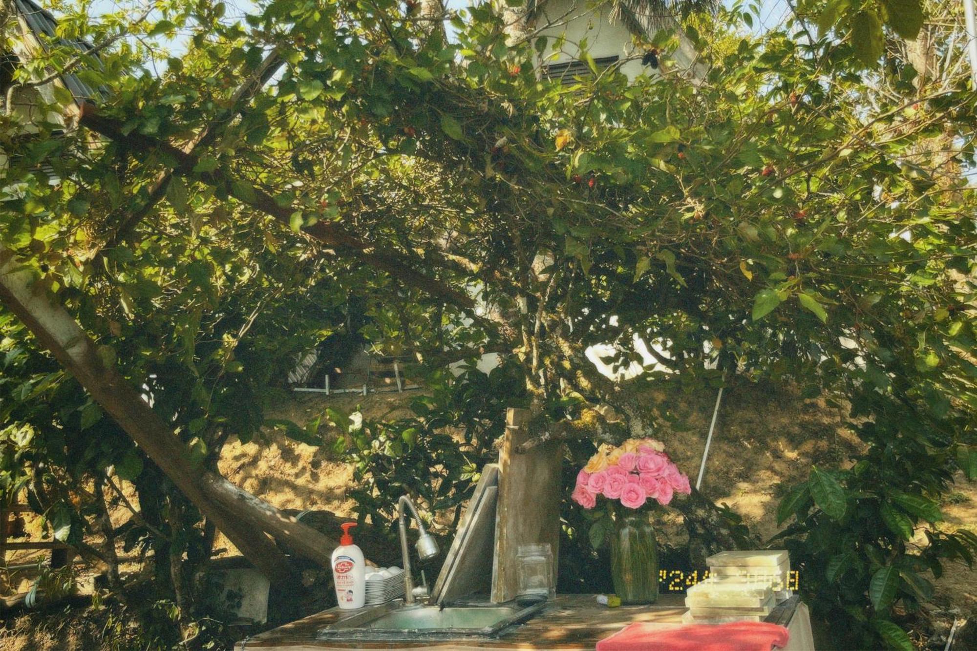 דירות Nap דה לאט מראה חיצוני תמונה